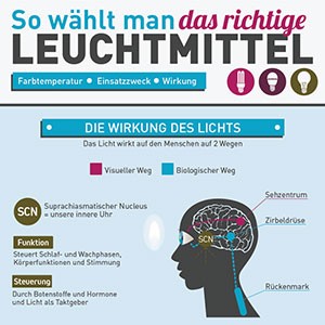 Portfolio: So wählt ma das richtige Leuchtmittel